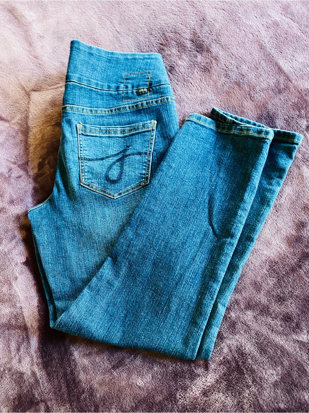 Jag Jeans Women’s Blue Stretch Jeggings with Embroidered Back Pocket